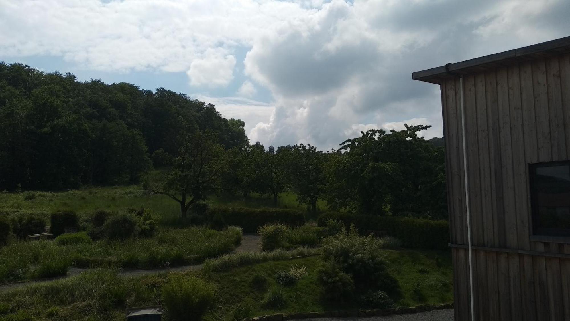 Sonnige Ferienwohnung Am Sternberg Extertal Extérieur photo